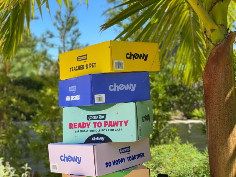 The Best Goody Boxes for Cats in 2023 A Comprehensive Review SuperMall