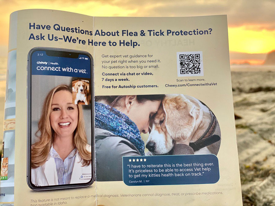 Connect With A Vet: Chewy's Innovative Telehealth Service for Pets