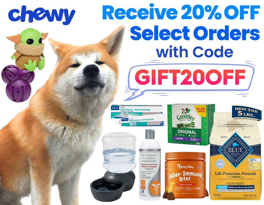 Chewy's Sun-Kissed Deals: Save Big on Outdoor Essentials for Pets.