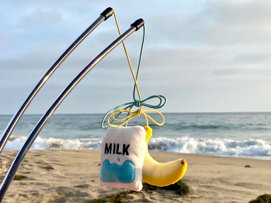 The Frisco Back to School Banana and Milk Cat Toy