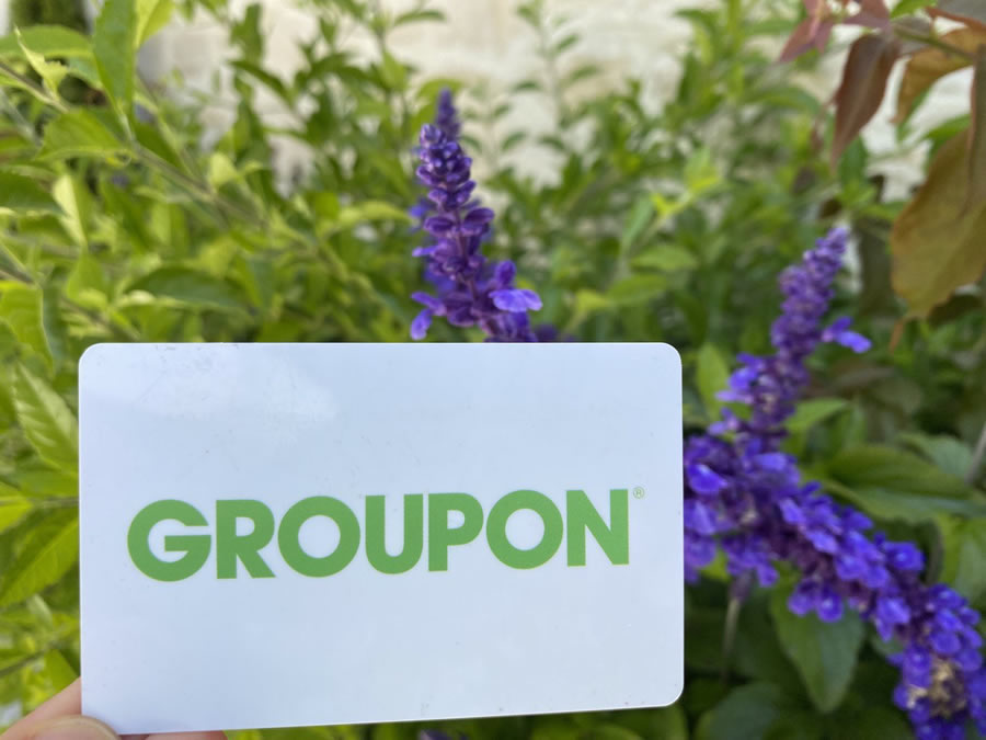 Get discounts with your Groupon card.