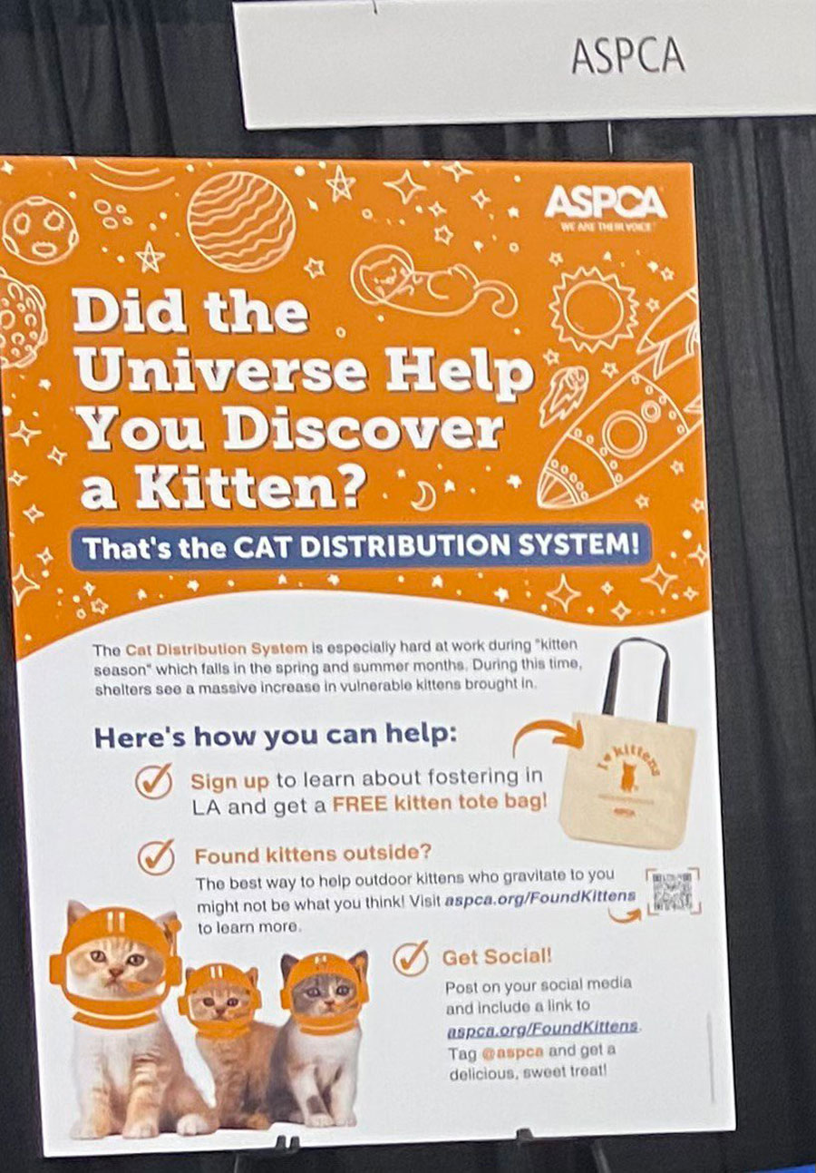 From Stray to Safe: How the CAT Distribution System Connects Us with Kittens