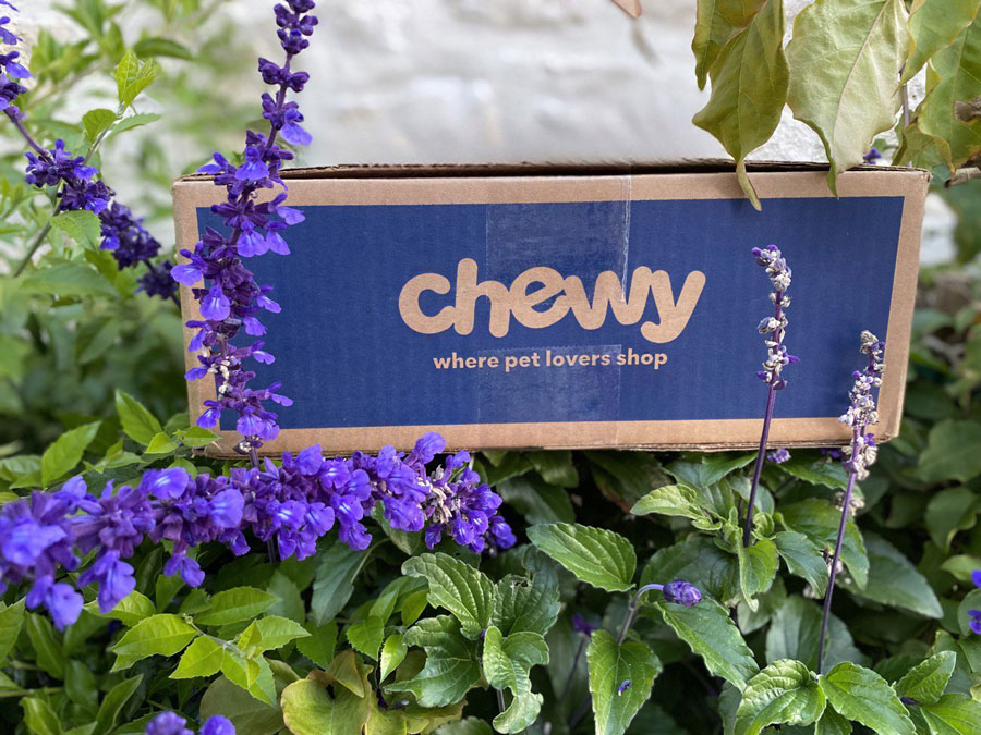 Pet Health is the Future for Chewy
