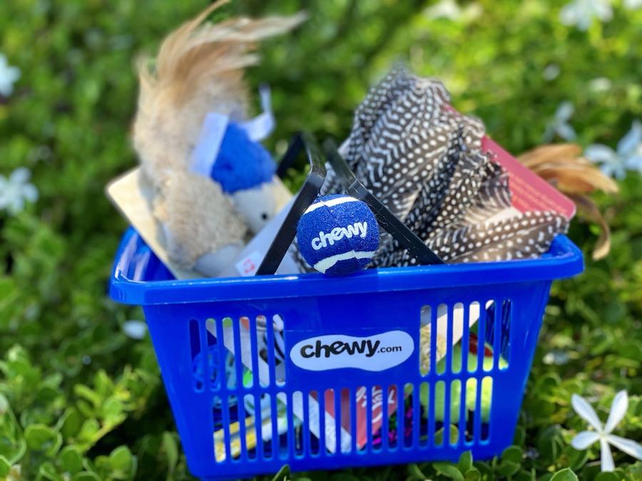 Pet Parent’s Guide to Smart Shopping at Chewy