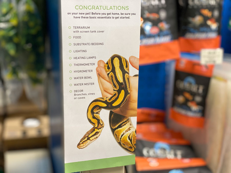 Pet Supplies Checklist: Everything Your New Companion Needs