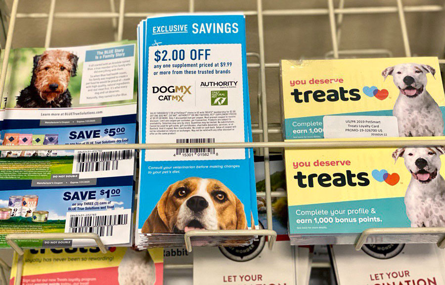 Petsmart's Summer Collection: Treats, Gear, and Savings for Your Beloved Pet
