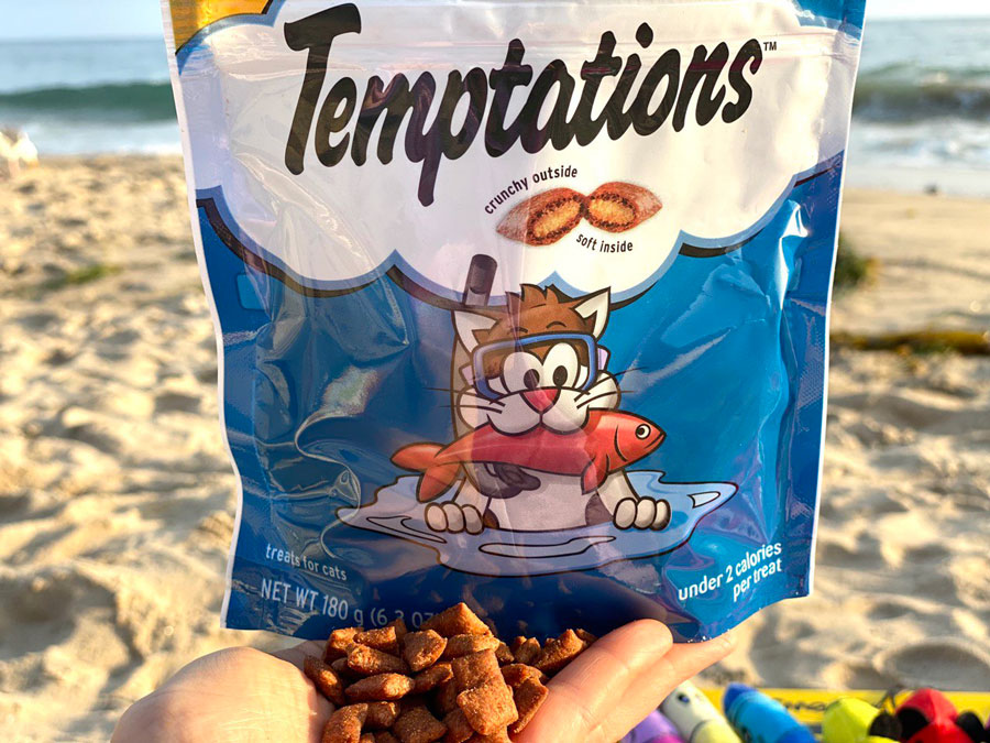 Temptations Classic Savory Salmon Flavor Soft and Crunchy Cat Treats