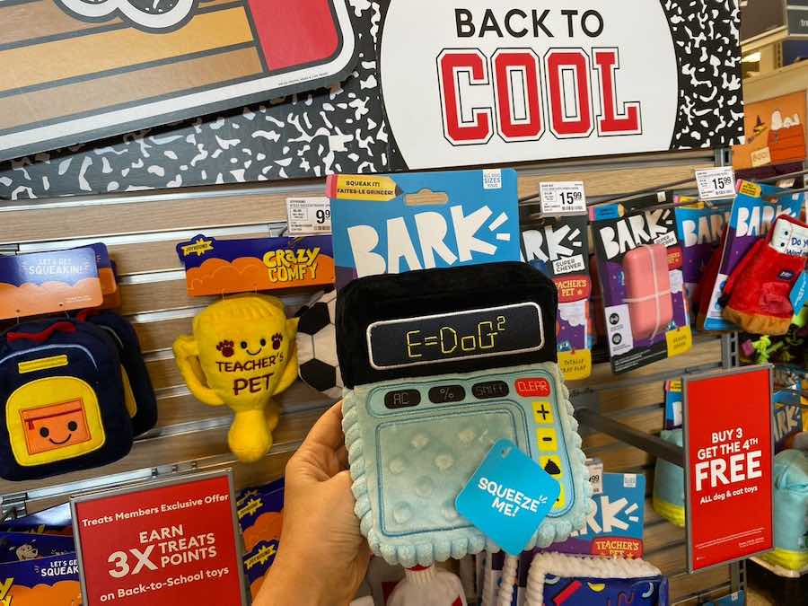 Cool for School: Explore Bark Toys' Back to Cool Must-Haves.