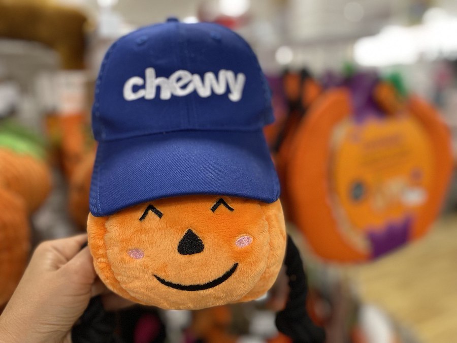 Chewy: Where Pet Dreams Come True: Fulfill your pet's desires with Chewy.