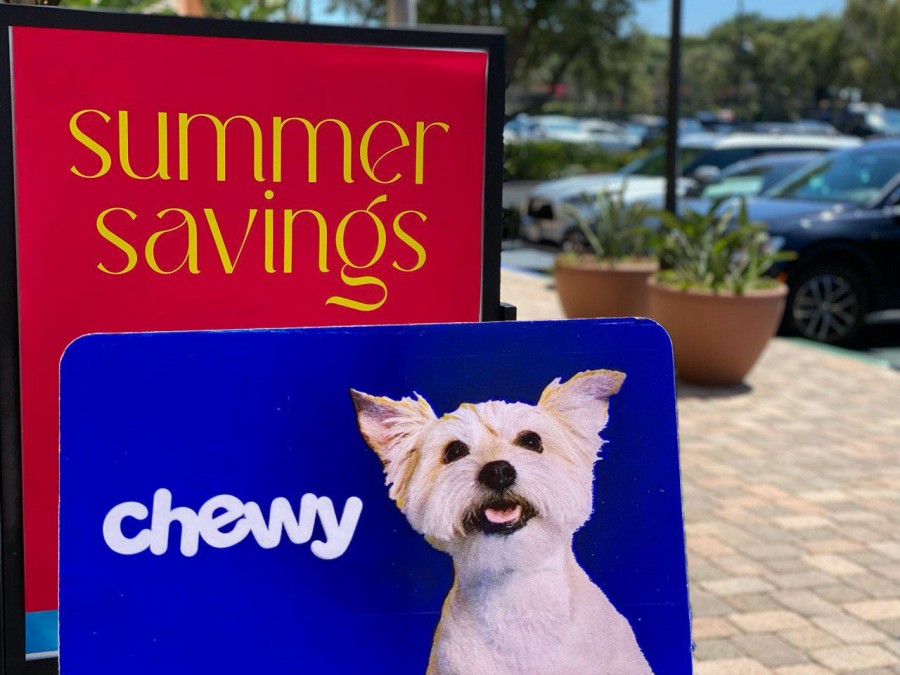 August's Hottest Chewy Deals
