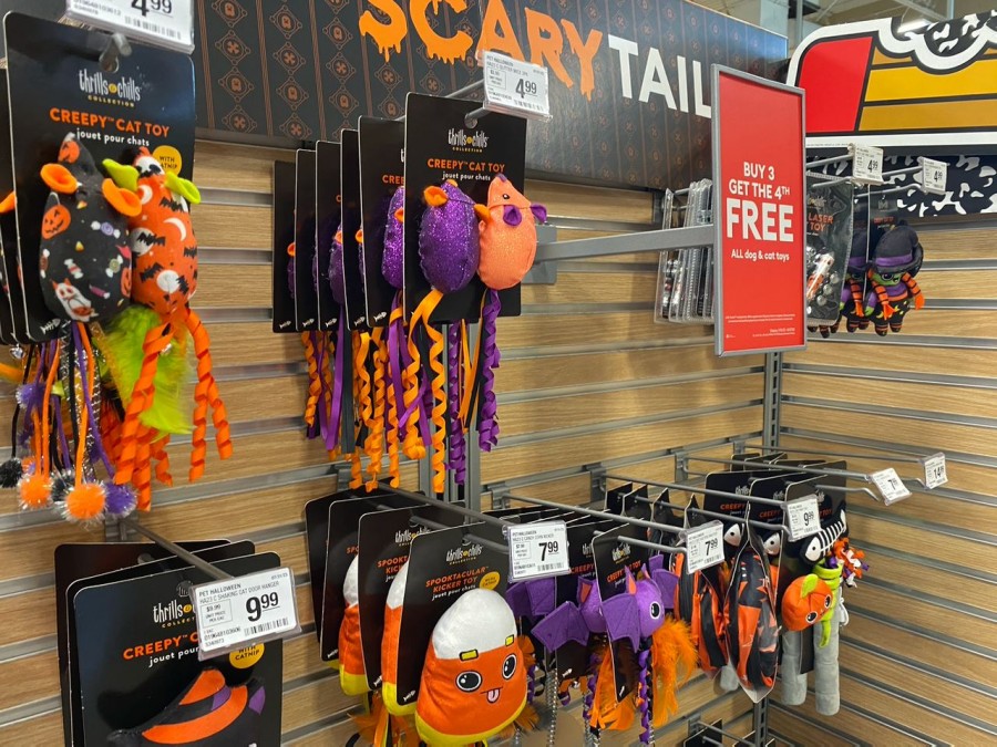 Get ready for Halloween with Chewy's amazing selection of spooky toys, starting at only $4.48.