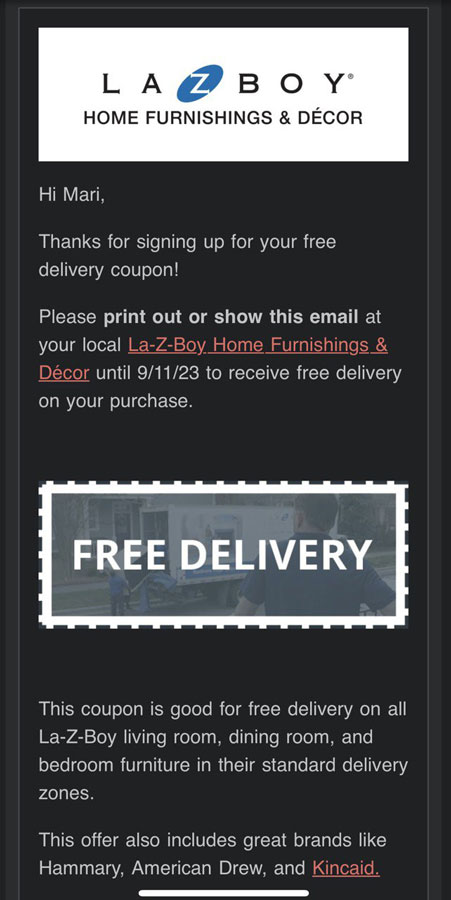 Lazy Boy Free Delivery Coupon