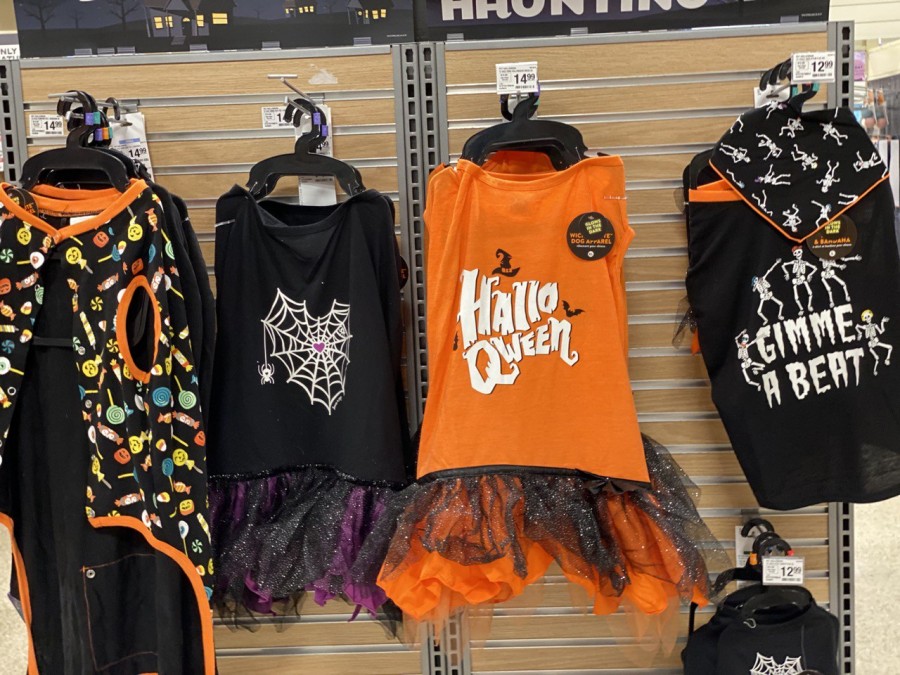Get your pup in the Halloween spirit with a simple, adorable festive t-shirt. Choose from spooky pumpkins, cute ghosts, and more. Perfect for quick and easy costumes.