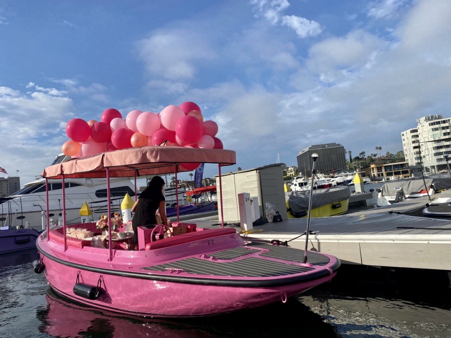 Experience the captivating charm of Newport Harbor like never before with an electrifying boat expedition.