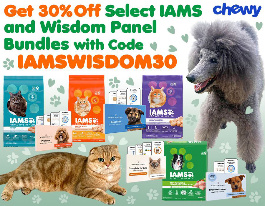 Pawsitively Great Deals: Grab Your Chewy Coupon Now!