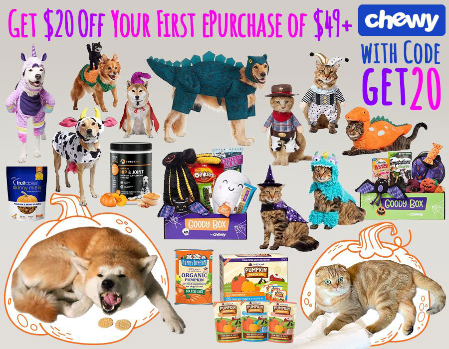 Creepy-Cute Discounts: Unleash Chewy's Halloween Deals!