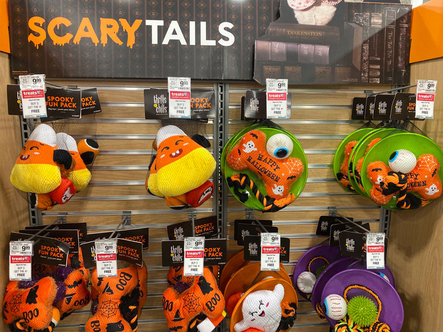 Tricks, Treats, and Toys: Halloween Delights for Your Pet!