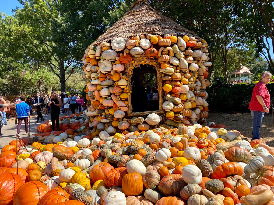 Visiting the Pumpkin House: Autumn's Cozy Retreat at the Arboretum