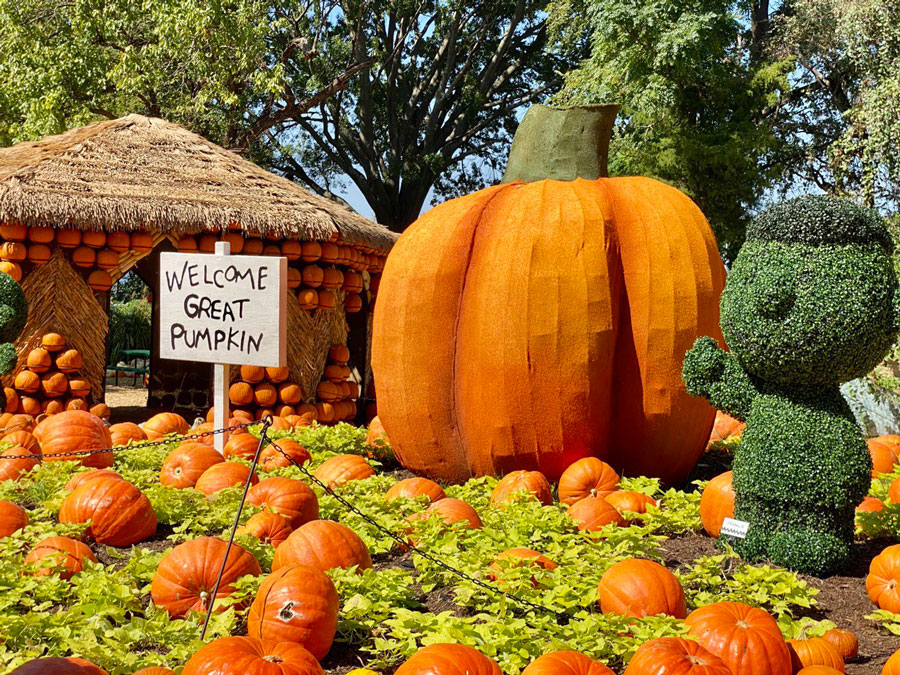 Enchanted by Autumn: The Arboretum's Pumpkin Festival