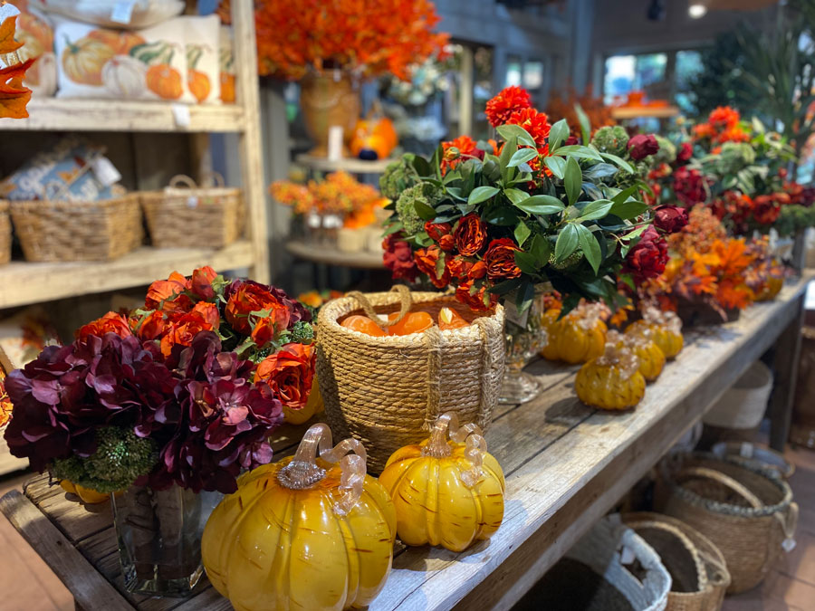 Falling for Fall: Decorative Pumpkins at Roger's Gardens