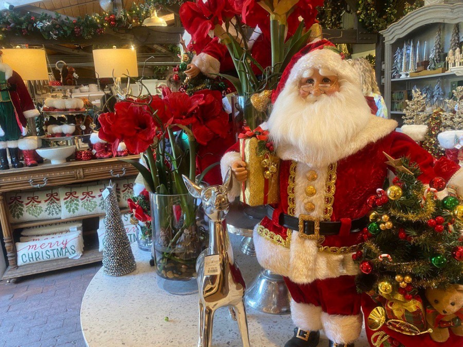 Step into a world of wonder at Roger's Gardens Christmas Boutique and experience the enchantment of the holiday season.