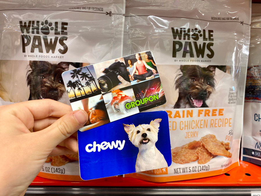 Pamper Your Pets for Less with Groupon's Chewy Discounts