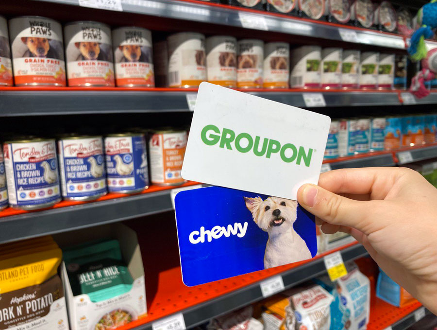 Exclusive Chewy Discounts Await on Groupon