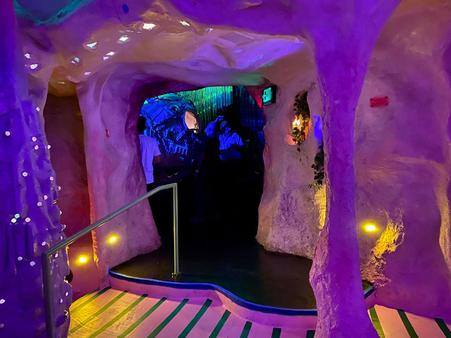 Meow Wolf: A Portal to the Unbelievable