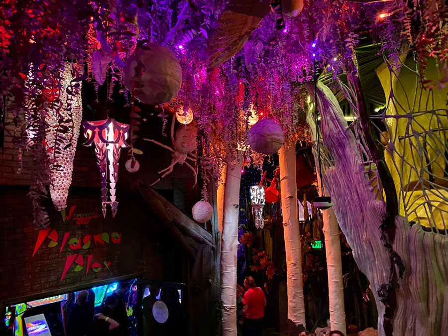 Fantasy Meets Reality: Meow Wolf's Creative Realms