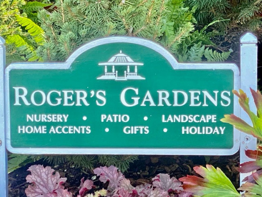 Discover Roger's Gardens for all your Christmas needs
