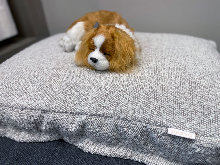 Saatva's Premium Dog Bed: Tail-Wagging Comfort