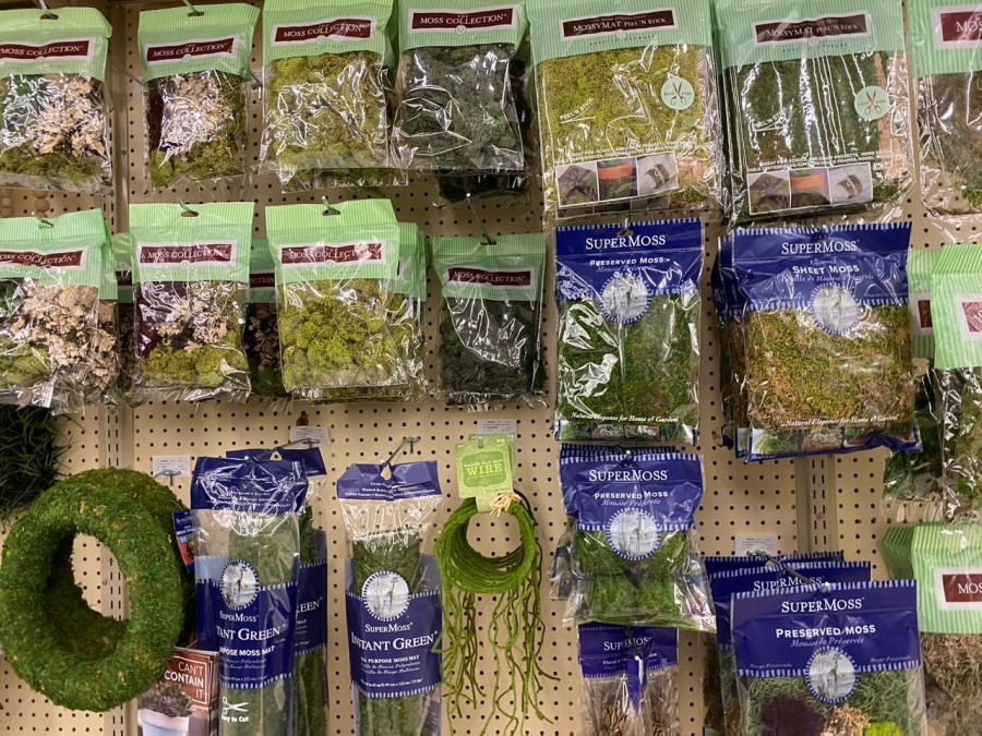 Feel the refreshing outdoors indoors with Hobby Lobby's selection of faux greenery. 