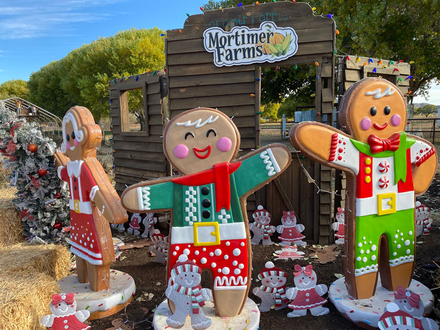 Mortimer Farms: A Winter Wonderland