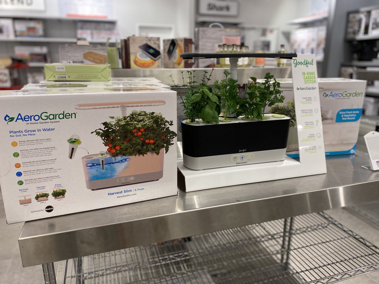 Sprout Success: Indoor-Garden Kits Perfect for Your Kitchen