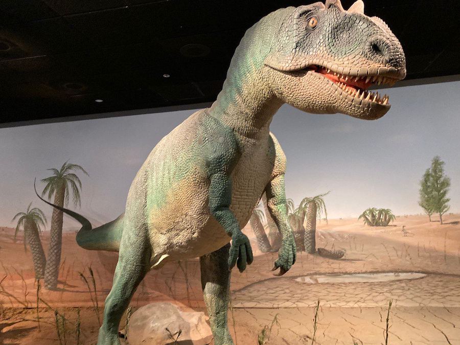 Embark on an educational odyssey at the Las Vegas Natural History Museum, where each exhibit invites exploration and discovery.