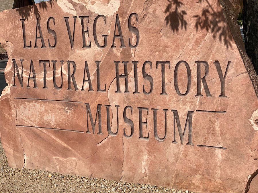 Embark on an adventure of prehistoric marvels at the Las Vegas Natural History Museum, where the wonders of the past come to life.