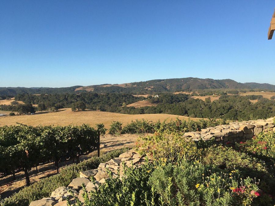 Join us for a scenic journey through Temecula's vineyards.