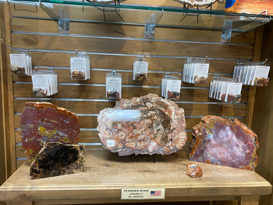 Rock Chronicles: Inside the Petrified Forest Museum