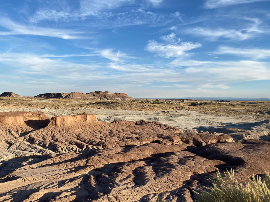 Land of Fossilized Giants: Petrified Forest National Park Adventure