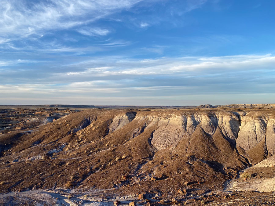 Whispers of Time: Petrified Forest's Ancient Beauty