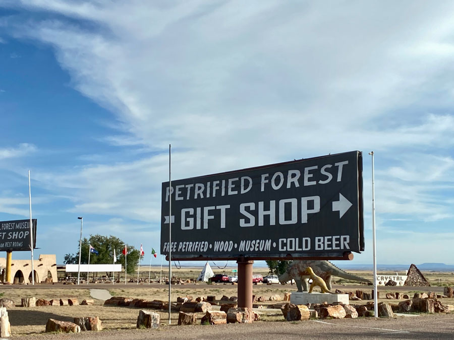 Discover Petrified Forest Gift Shop Gems