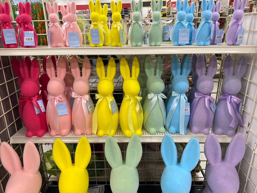 Easter Bunny Magic: Bringing Joy to the Season!