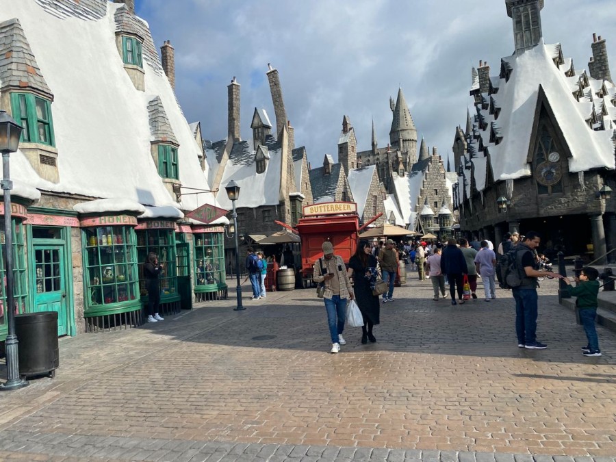 Experience the magic of Hogsmeade Village and embark on an unforgettable journey with your favorite characters from J.K Rowling's famous book series.