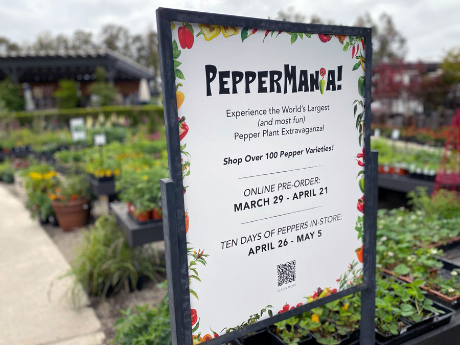 A Pepper Lover's Dream: Visit Peppermania at Roger's Gardens Today!