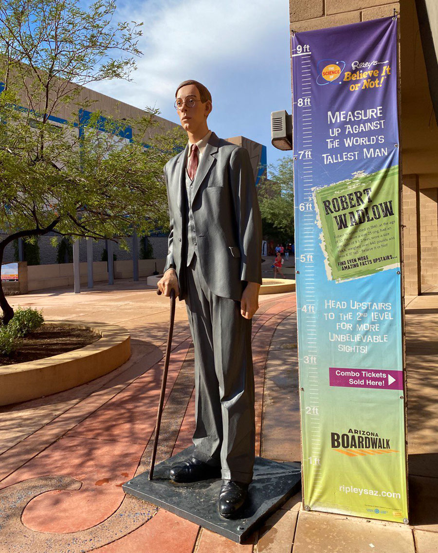 Worlds Tallest Man - Robert Wadlow at Ripley's