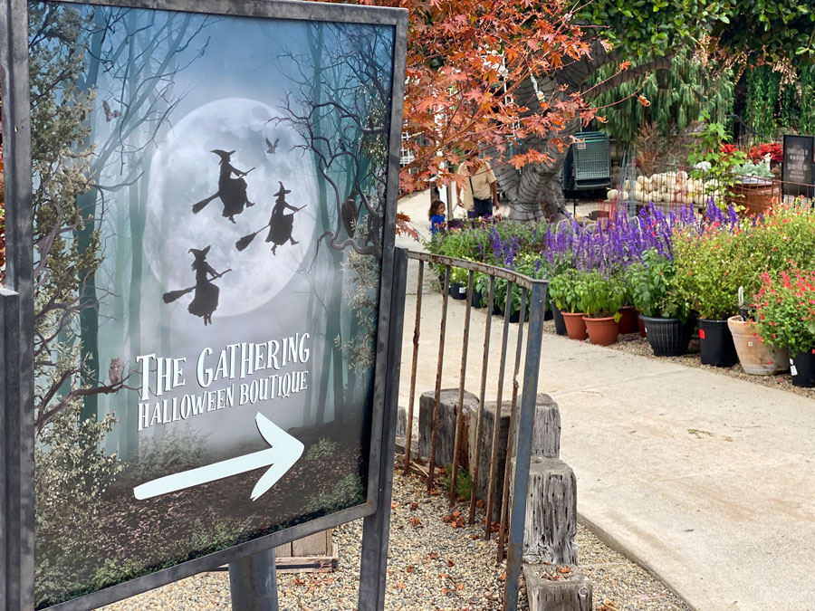 'The Gathering' Halloween Boutique 2024 - Roger's Gardens