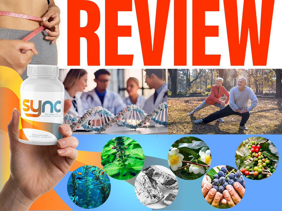 Sync Supplement Review