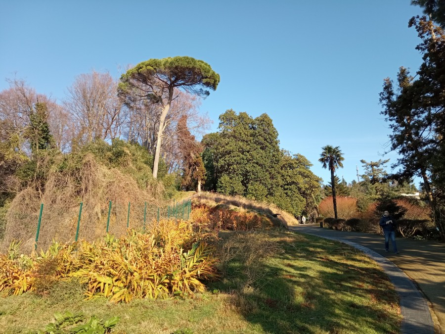 Entrance to Batumi's Botanical Park