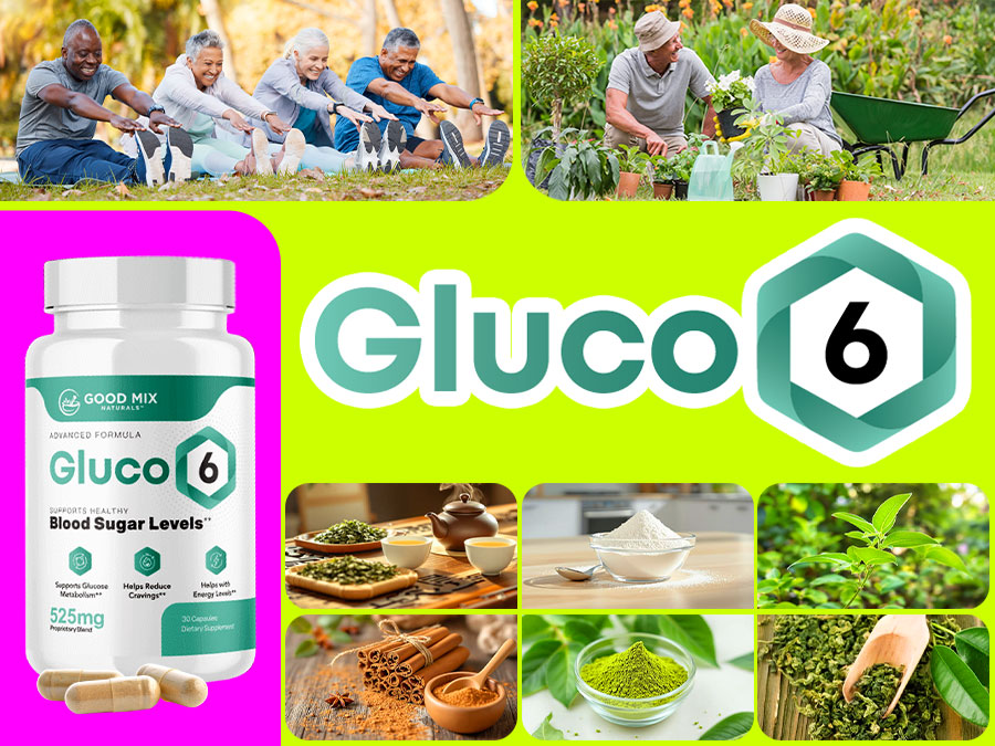 Gluco6 Ingredients Review