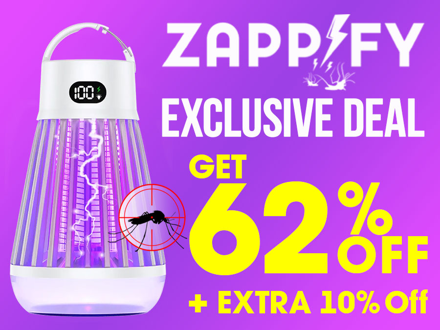 Zappify Special Discount